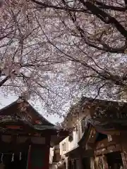 浅草富士浅間神社(東京都)