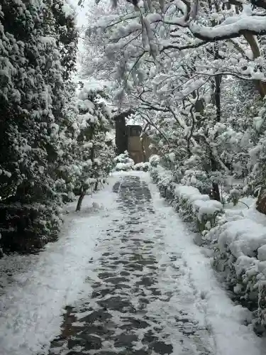 大光院の{uncategorized: "未分類", other: "その他", undefined: "問題あり", building: "その他建物", grave: "お墓", sacred_gate: "鳥居", guardian: "狛犬", statue: "像", buddha: "仏像", history: "歴史", nature: "自然", garden: "庭園", animal: "動物", pagoda: "塔", temizu: "手水舎", mountain_gate: "山門・神門", sanctuary: "本殿・本堂", subordinate: "末社・摂社", art: "芸術", scenery: "景色", jizo: "地蔵", ema: "絵馬", goshuin: "御朱印", omikuji: "おみくじ", items: "授与品その他", amulet: "お守り", goshuincho: "御朱印帳", eats: "食事", festival: "お祭り", votive_dance: "神楽", shichigosan: "七五三参", wedding: "結婚式", experience: "体験その他", initially: "初詣", around: "周辺", anti_infection: "感染症対策"}