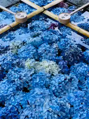 土津神社|こどもと出世の神さまの手水舎