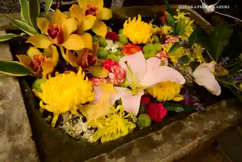 菊名神社の手水舎