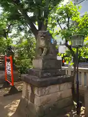 皆中稲荷神社の狛犬