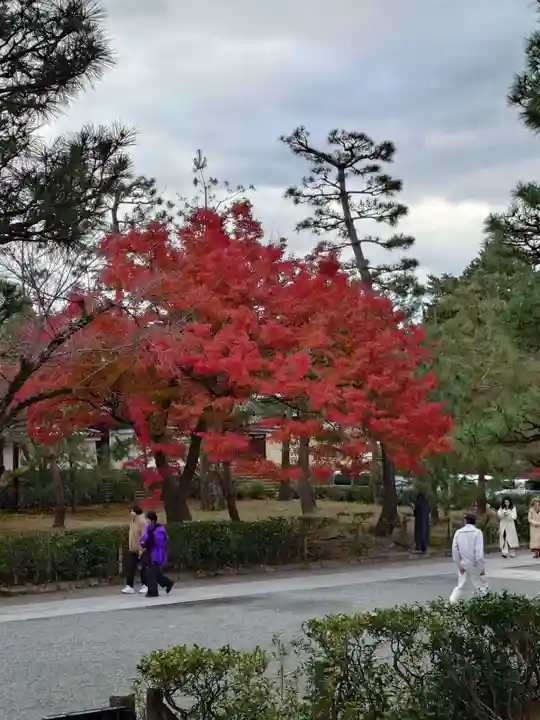 建仁寺(建仁禅寺)(京都府)