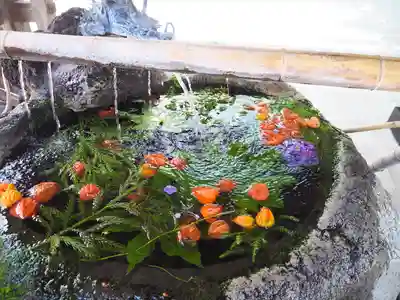 出雲大社相模分祠の手水舎