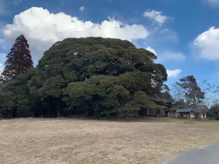 熊野神社(千葉県)
