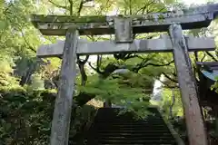 養父神社の鳥居