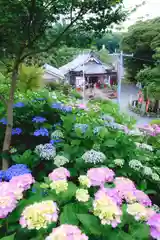 三ヶ根観音（太山寺）(愛知県)