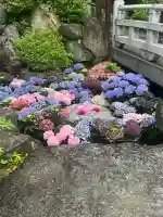 岡寺(龍蓋寺)(奈良県)