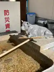 天神社(兵庫県)