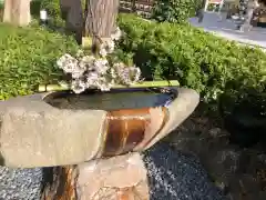 伊和志津神社の手水