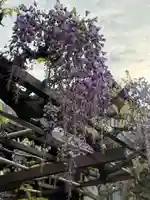 西方山極楽寺(岐阜県)