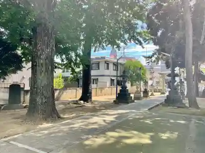柴又八幡神社(東京都)