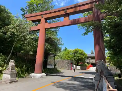 宮城縣護國神社の鳥居
