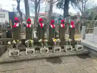 常光寺の{uncategorized: "未分類", other: "その他", undefined: "問題あり", building: "その他建物", grave: "お墓", sacred_gate: "鳥居", guardian: "狛犬", statue: "像", buddha: "仏像", history: "歴史", nature: "自然", garden: "庭園", animal: "動物", pagoda: "塔", temizu: "手水舎", mountain_gate: "山門・神門", sanctuary: "本殿・本堂", subordinate: "末社・摂社", art: "芸術", scenery: "景色", jizo: "地蔵", ema: "絵馬", goshuin: "御朱印", omikuji: "おみくじ", items: "授与品その他", amulet: "お守り", goshuincho: "御朱印帳", eats: "食事", festival: "お祭り", votive_dance: "神楽", shichigosan: "七五三参", wedding: "結婚式", experience: "体験その他", initially: "初詣", around: "周辺", anti_infection: "感染症対策"}