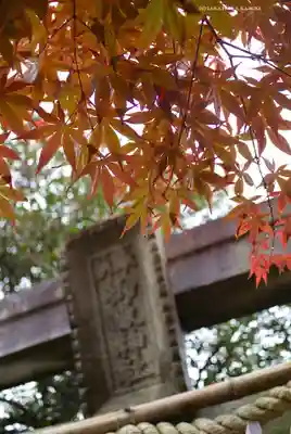 横浜御嶽神社(神奈川県)
