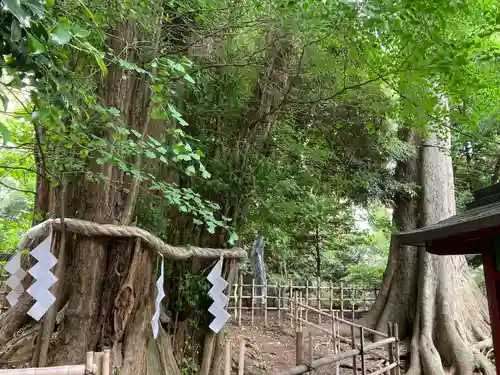 大國魂神社(東京都)