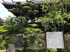 崇福寺(岐阜県)