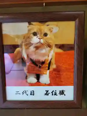 猫猫寺(京都府)