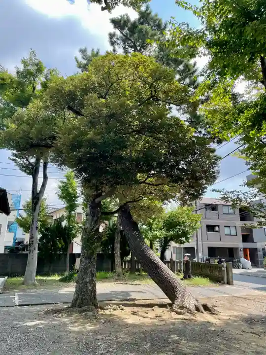 神明神社(神奈川県)