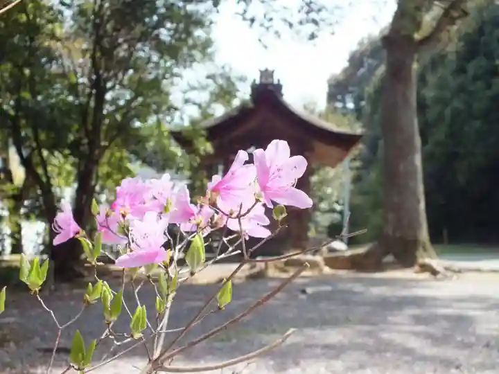 春日神社のその他建物