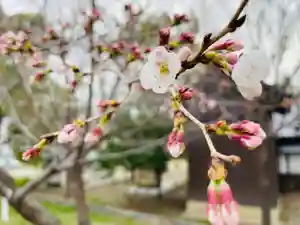 竹渕神社(大阪府)(2022年03月21日(月) 17時35分45秒投稿)