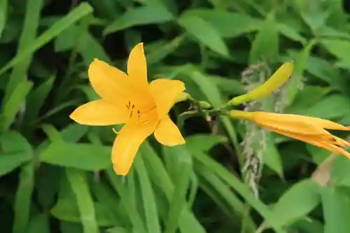 仏法紹隆寺(長野県)