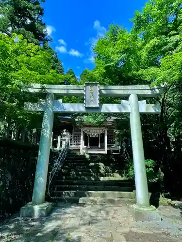 国造神社の鳥居