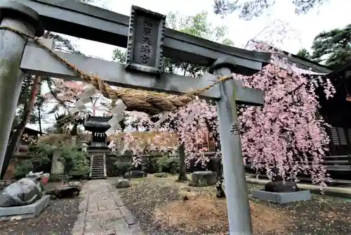 豊景神社の鳥居