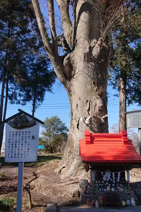 薬師寺八幡宮(栃木県)