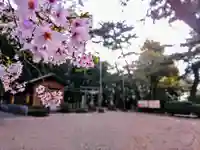 木庭八幡社の自然