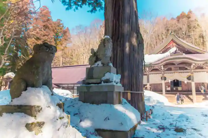 戸隠神社中社(長野県)