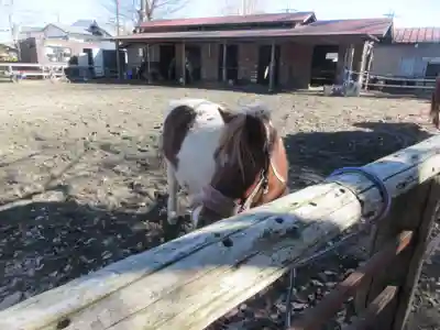 小室浅間神社(山梨県)