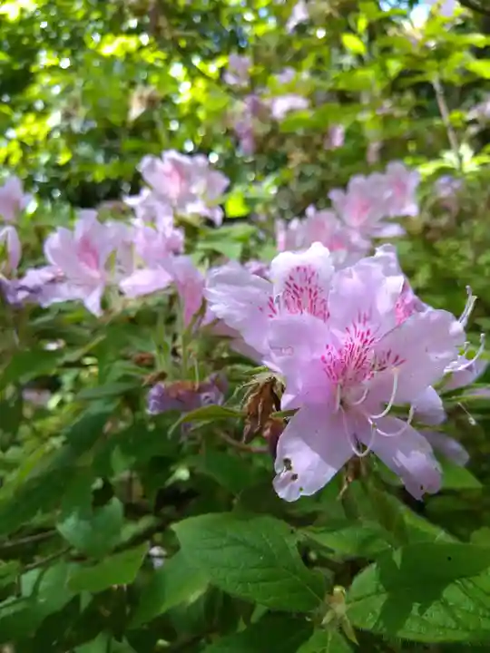 枚岡神社神津嶽本宮(大阪府)