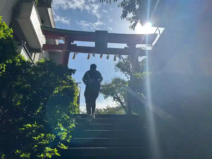 神田神社(神田明神)の鳥居