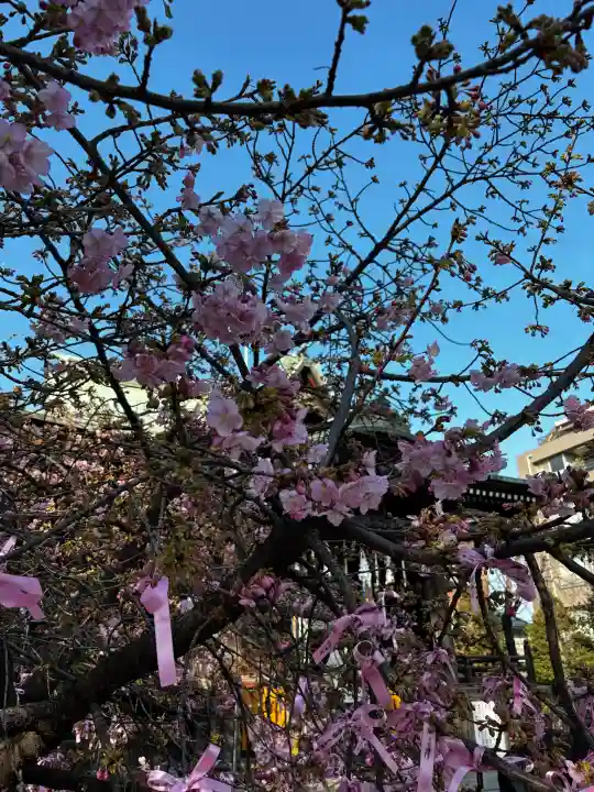 桜神宮の{uncategorized: "未分類", other: "その他", undefined: "問題あり", building: "その他建物", grave: "お墓", sacred_gate: "鳥居", guardian: "狛犬", statue: "像", buddha: "仏像", history: "歴史", nature: "自然", garden: "庭園", animal: "動物", pagoda: "塔", temizu: "手水舎", mountain_gate: "山門・神門", sanctuary: "本殿・本堂", subordinate: "末社・摂社", art: "芸術", scenery: "景色", jizo: "地蔵", ema: "絵馬", goshuin: "御朱印", omikuji: "おみくじ", items: "授与品その他", amulet: "お守り", goshuincho: "御朱印帳", eats: "食事", festival: "お祭り", votive_dance: "神楽", shichigosan: "七五三参", wedding: "結婚式", experience: "体験その他", initially: "初詣", around: "周辺", anti_infection: "感染症対策"}