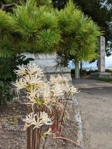 玉田神社(京都府)