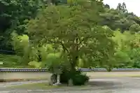 多聞寺(徳島県)