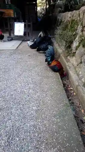 石上神宮の動物