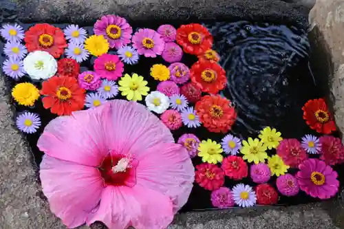 大鏑神社の手水舎