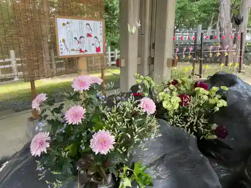 上川神社の手水舎