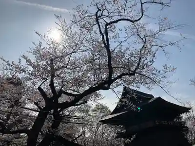 陸奥国分寺薬師堂(宮城県)