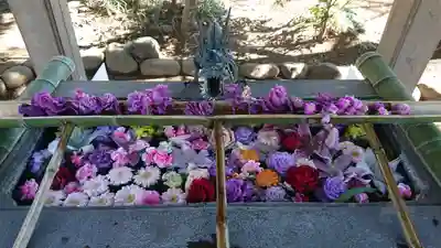 北本氷川神社の手水舎