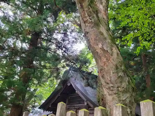 諏訪大社上社前宮のその他建物