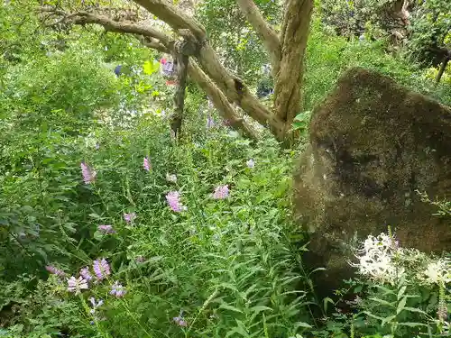 宝戒寺の自然