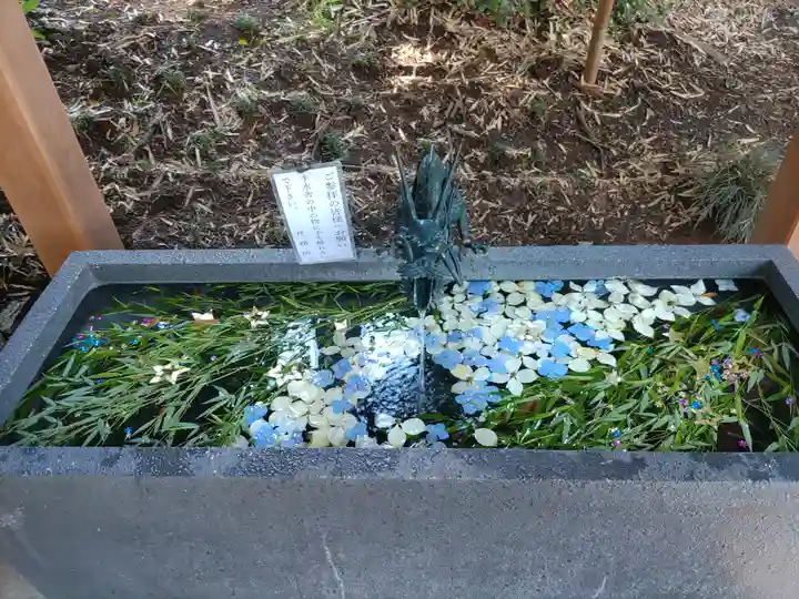 下野 星宮神社の手水舎