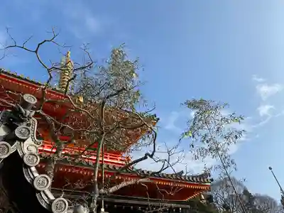 朝護孫子寺(奈良県)