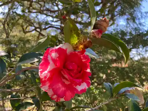 石塔寺(滋賀県)
