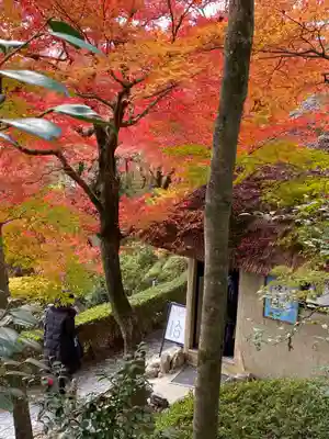 華厳寺(鈴虫寺)(京都府)