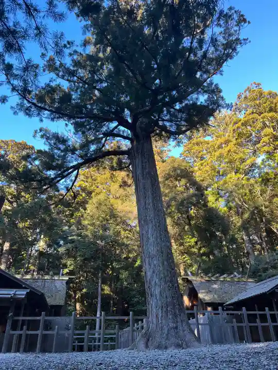 瀧原宮(皇大神宮別宮)(三重県)