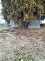 弥栄神社(宮城県)