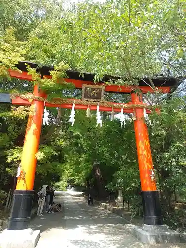 宇治上神社の鳥居